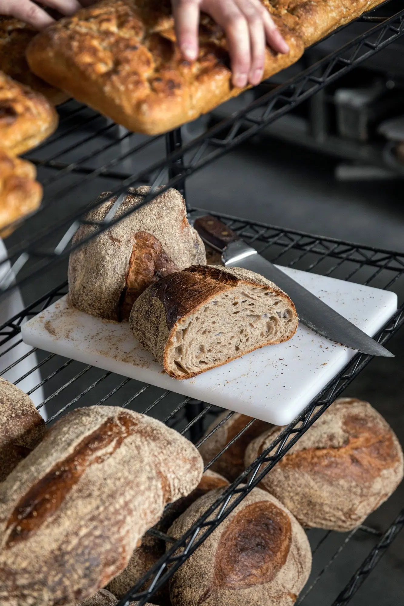 Freshly baked sourdough bread being sliced in a bakery.